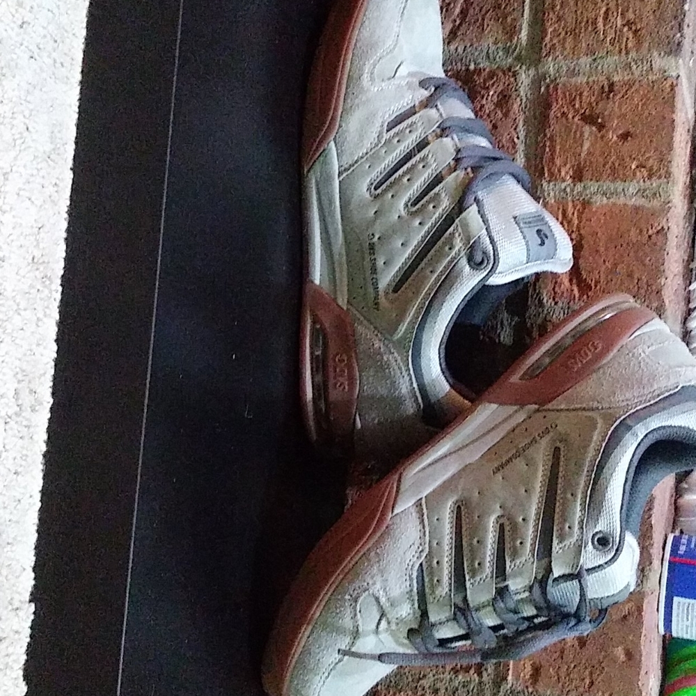Dvs skate boarding shoes